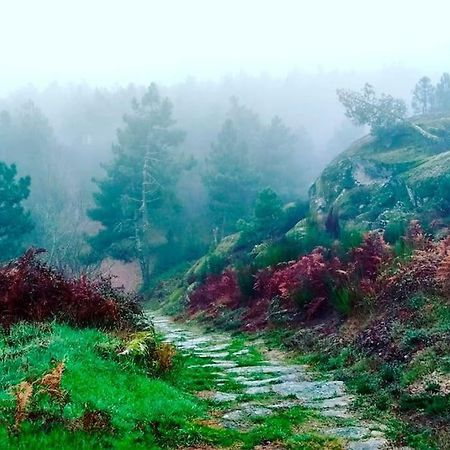 Вилла A Tintureira Sao Martinho de Antas Экстерьер фото