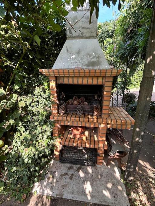 Вилла A Tintureira Sao Martinho de Antas Экстерьер фото