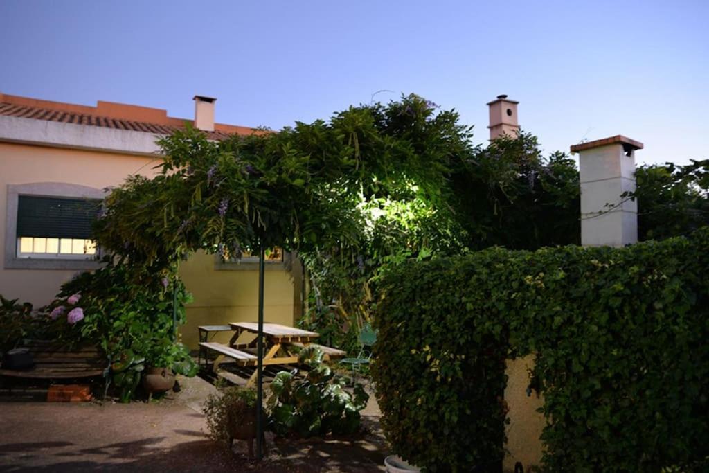 Вилла A Tintureira Sao Martinho de Antas Экстерьер фото