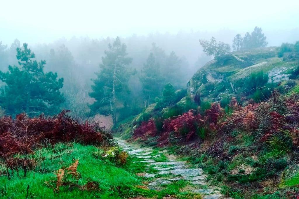 Вилла A Tintureira Sao Martinho de Antas Экстерьер фото