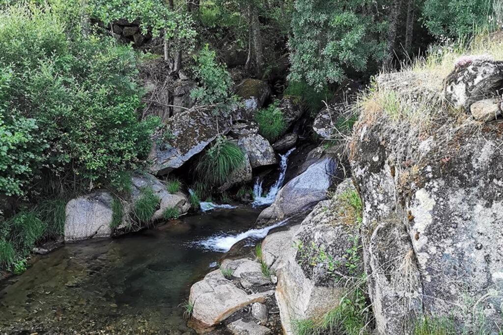 Вилла A Tintureira Sao Martinho de Antas Экстерьер фото